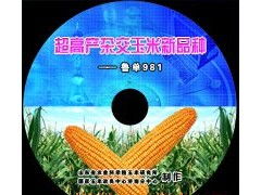 济南光盘制作、刻录与印刷一站式服务全解析